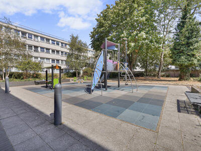 Picture 23